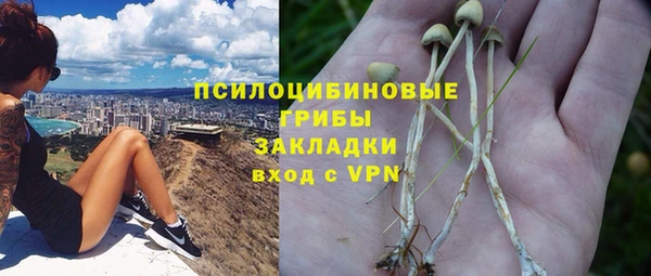 амф Приозерск